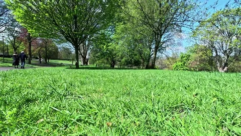 Back view of people walking in Lister Park, Bradford Stock Footage 333794074