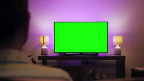 Back view of person, leisure and people concept, woman watching tv with mock up Stock Footage 248538267