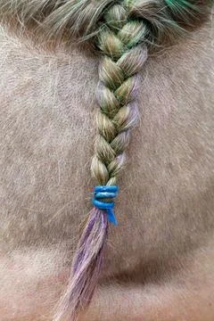 Back view of a person with a shaved head. Single green braided hair strand .. Stock Photos
