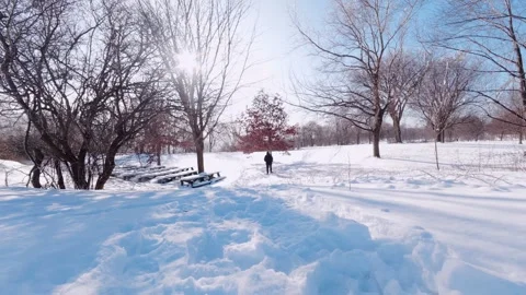 Back view of person walking through snowy park in winter Stock Footage 326377249
