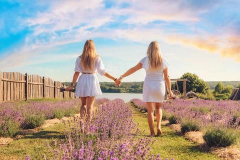 Back view portrait of two young women holding hands at lavender field, outdoo Stock Photos