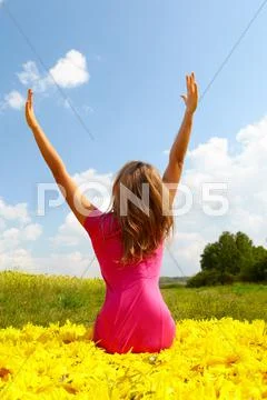 Back view of pretty girl seated on sunflowers and enjoying summer day Stock Photos
