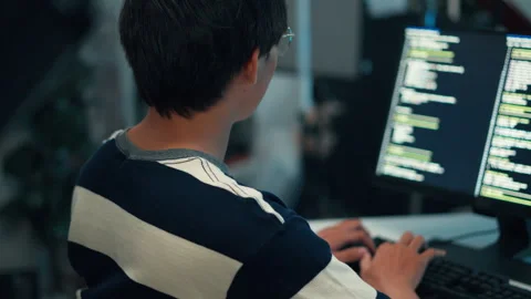 Back view programmer typing code dual screen monitor application development Stock-Footage 313807422