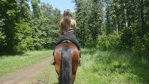 Back view rider and her horse are walking along the road in the forest Video stock 78174316