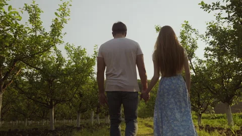 Back view of a romantic couple walking in the apple orchard in summer and Stock Footage 250875082