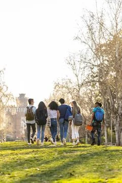 Back view of a row of young multi-ethnic students walking together in the park Stock Photos