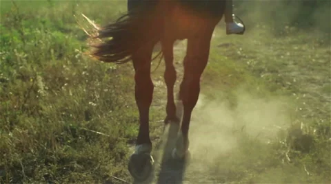 Back view of a running horse. Close up Vidéo 57804701