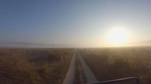 A back view from a safari jeep going through the open grasslands in Jim Corb Stock Footage 146010659