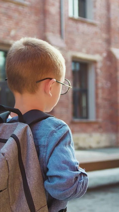 Back view. Schoolboy Little boy child with backpack alone going to school at sun Stock Footage 331795556