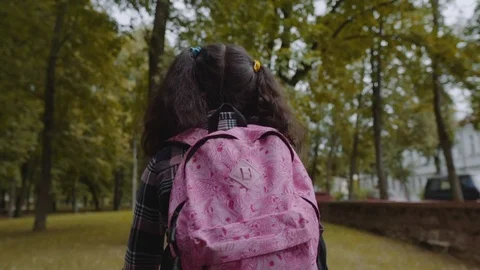 Back view of schoolgirl with bagpack walking in the park. Back to school concept Stock Footage 113481316