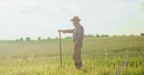 Back view of the senior farmer wearing hat standing at the field with shovel and Stock Footage 157648267
