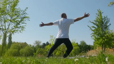 Back view senior man performing fitness warrior pose in green park Stock-Footage 334868083
