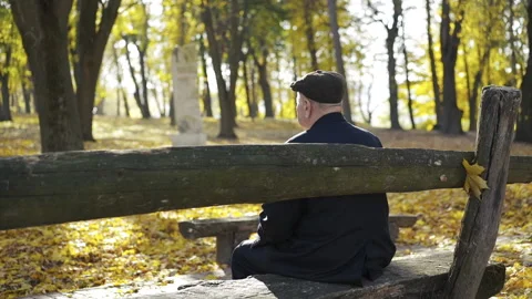 Back view of senior man resting on a park bench and admiring the autumn beauty Stock Footage 134513411