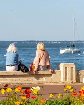 Back view of senior woman sitting on a bench at the beach Stock Photos