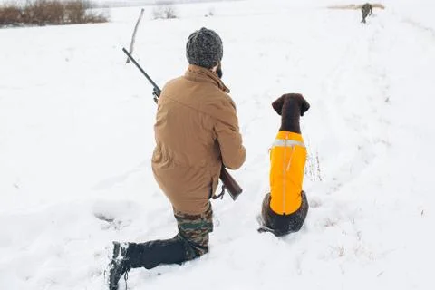 Back view shot. a hunter and a dog are ready to shoot at the animal Stock Photos