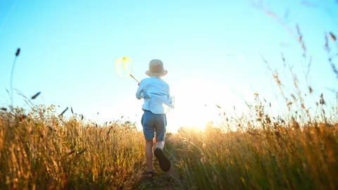 Back view is silhouette of boy running through wheat field and holding butterfly Stock Footage 204721868