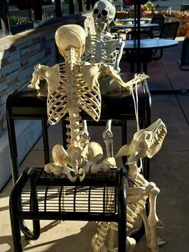 Back view skeletons at table Stock Photos
