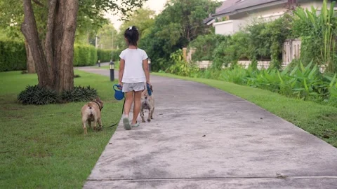 Back view small girl walking with dog on footpath. Stockbeeldmateriaal 249336824