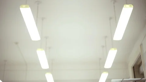 Back view of the students in the lecture hall listening to a professor Stock Footage 105204120