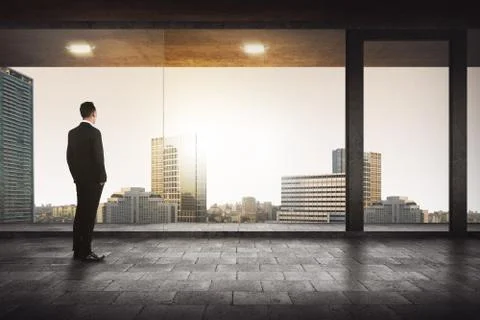 Back view of successful manager looking the city Stock Photos