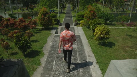 Back View of a Successful Young Man in a Summer Shirt Walking in the Park on a Stock Footage 257439867