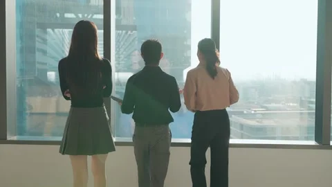 Back view of a team of young business professionals Stock-Footage 330522343