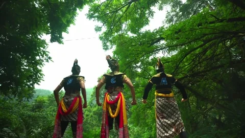 Back View of Three Traditional Warriors Looking Up at Trees Stock Footage 276348394