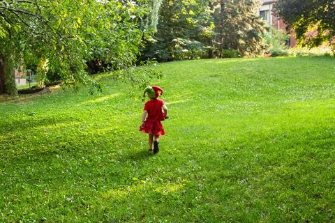 Back view of three-year old child disguised Stock Photos
