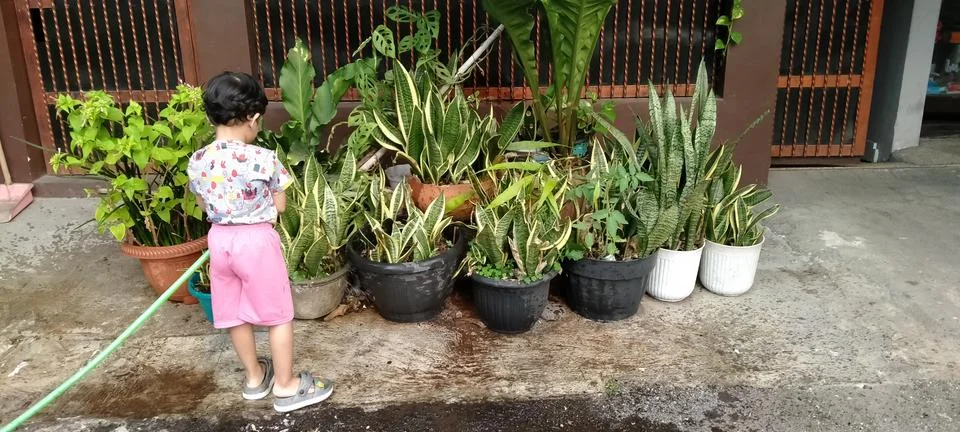 Back View of Three Year Old Child Watering Plants Outdoors Stock Photos