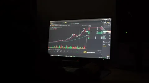 Back view of trader sitting in the dark with hoodie trading cryptocurrency Stock Footage 149541433