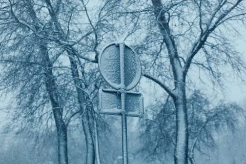 Back view of a traffic sign in front, some barren trees covered in fresh snow Stock Photos