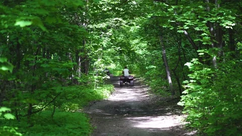 Back view. Two ATVs ride along a long forest road. Stock Footage 139884528