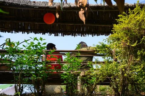 Back view , Two friends , sitting on chair in the garden. Stock Photos