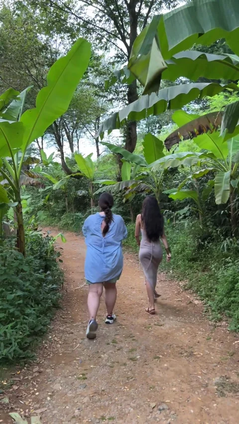 Back view. Two girls walk along the path of banana grove Stock Footage 260663862