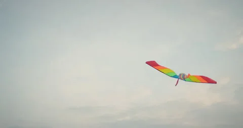 Back View of Two Guys flying Beautiful LGBT Rainbow Kite in the Sky. Running in Stock Footage 158404634