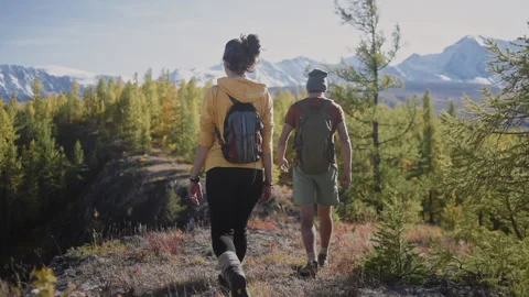 Back view of two hikers are climbing the forest trail Stock Footage 140264879