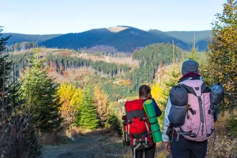 Back View of two Hikers with Backpacks walking on Forest Trail Stock Photos