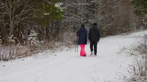 Back view of two hikers with sticks walk in the winter snowy road Stock Footage 255021697