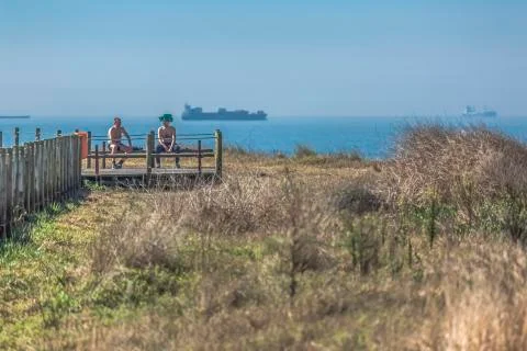 Back view of two men, sitting down on wood bench and talking on the eco pedes Stock Photos