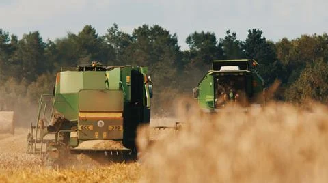 Back view of two modern combine harvester in a golden wheat field - Concept Of Stock Photos