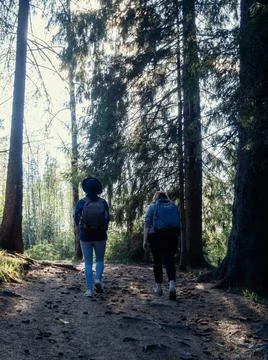 Back view of two multiethnic friends with backpacks walking in forest. Stock Photos