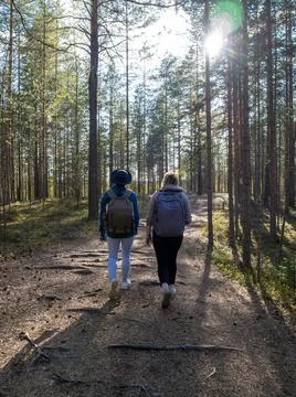Back view of two multiethnic friends with backpacks walking in forest. Stock Photos
