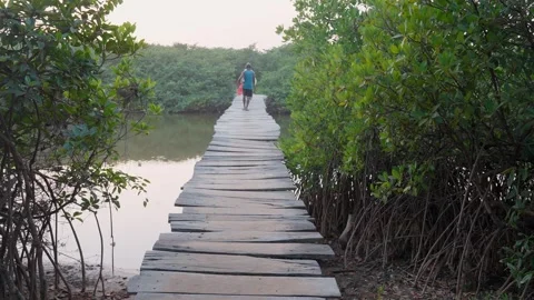 The back view of two people crossing a wooden bridge over a tropical river Stock Footage 304964122