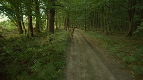 Back view of two soldiers in uniform with weapons in hands running to armored Stock Footage 242425022