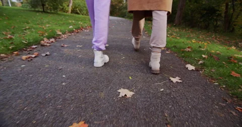 Back view: Two women walk along the path in the autumn park, walk side by side Stock Footage 249876368