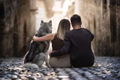 Back view of two young people and their beloved wolf dog sitting and hugging in Stock Photos