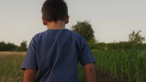Back view of an unrecognizable little boy walking on grass meadow in countryside Stock Footage 251535416