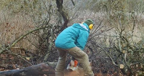 Back view of unrecognizable man holding chain saw cutting wood outdoors forest  Stock Footage 120009350