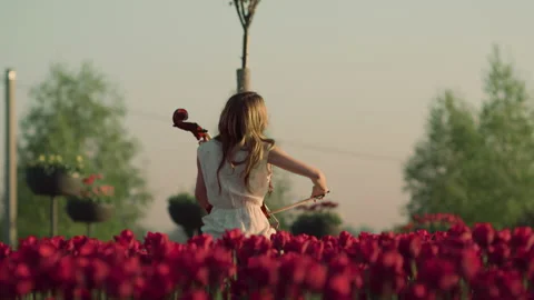 Back view of unrecognizable woman with cello sitting in spring garden outdoors. Stock Footage 168654574