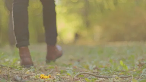 Back view of walking feet on forest in national park. Tourist walks on adventure Stock Footage 165846340